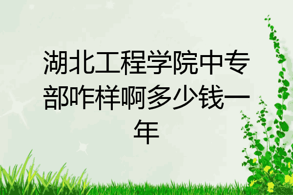 湖北工程学院中专部咋样啊多少钱一年
