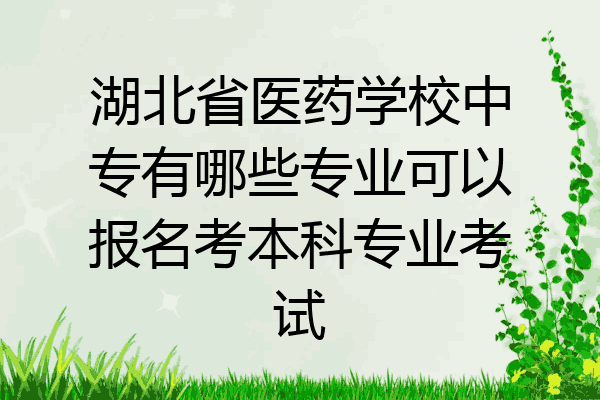 湖北省医药学校中专有哪些专业可以报名考本科专业考试