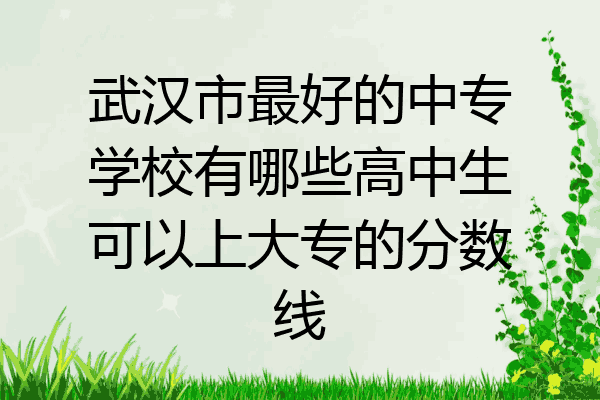 武汉市最好的中专学校有哪些高中生可以上大专的分数线