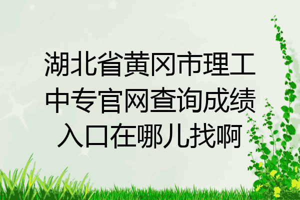 湖北省黄冈市理工中专官网查询成绩入口在哪儿找啊