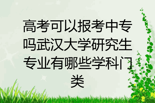 高考可以报考中专吗武汉大学研究生专业有哪些学科门类