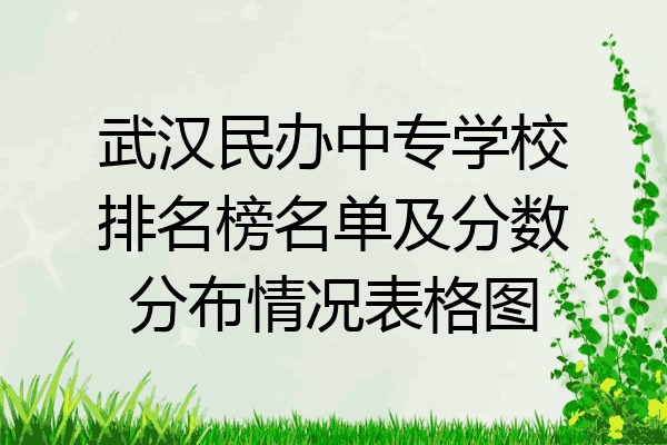 武汉民办中专学校排名榜名单及分数分布情况表格图