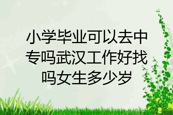 小学毕业可以去中专吗武汉工作好找吗女生多少岁