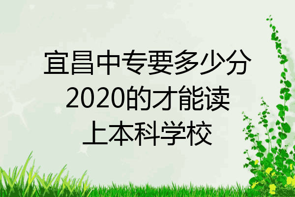 宜昌中专要多少分2020的才能读上本科学校