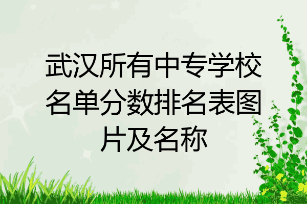武汉所有中专学校名单分数排名表图片及名称