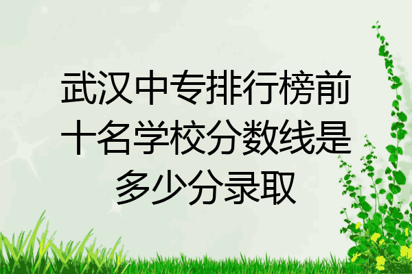 武汉中专排行榜前十名学校分数线是多少分录取