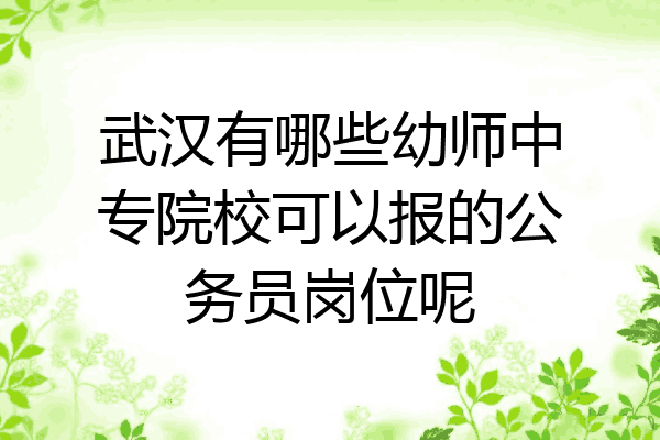 武汉有哪些幼师中专院校可以报的公务员岗位呢