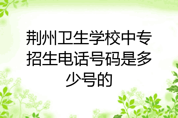 荆州卫生学校中专招生电话号码是多少号的