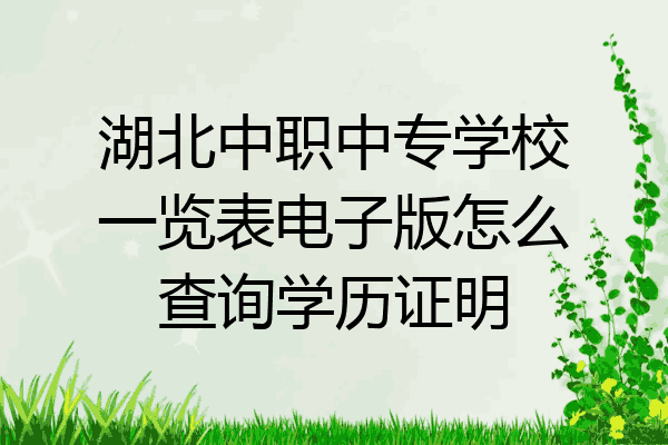 湖北中职中专学校一览表电子版怎么查询学历证明