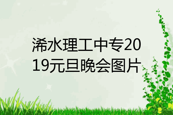 浠水理工中专2019元旦晚会图片