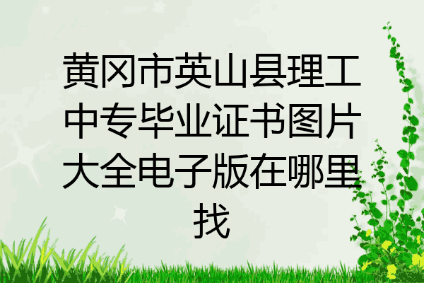 黄冈市英山县理工中专毕业证书图片大全电子版在哪里找