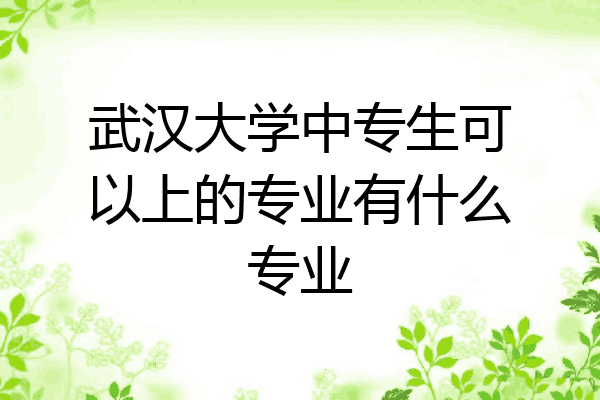 武汉大学中专生可以上的专业有什么专业