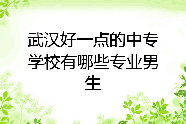 武汉好一点的中专学校有哪些专业男生