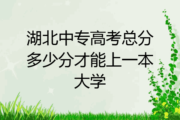 湖北中专高考总分多少分才能上一本大学