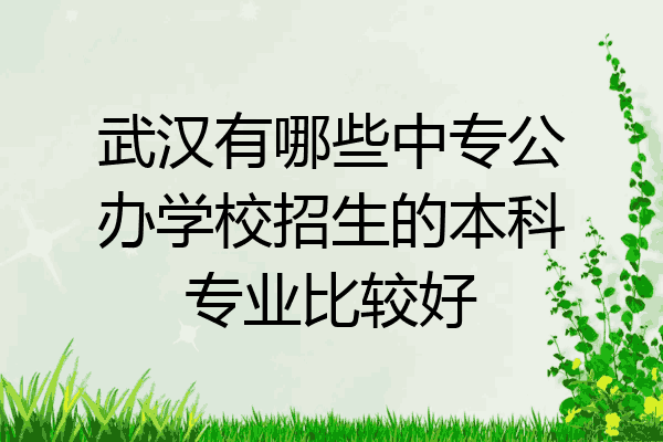 武汉有哪些中专公办学校招生的本科专业比较好
