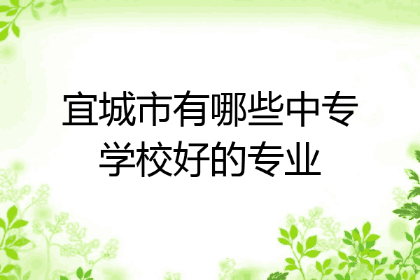 宜城市有哪些中专学校好的专业