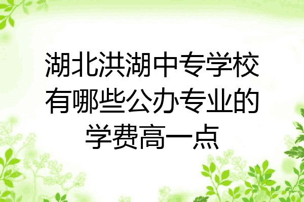 湖北洪湖中专学校有哪些公办专业的学费高一点