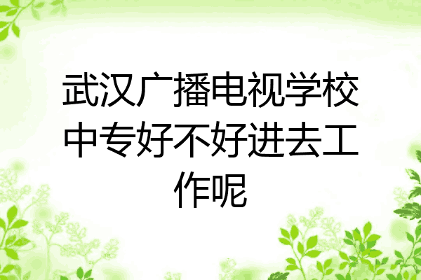 武汉广播电视学校中专好不好进去工作呢