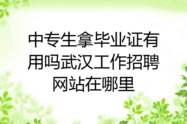 中专生拿毕业证有用吗武汉工作招聘网站在哪里