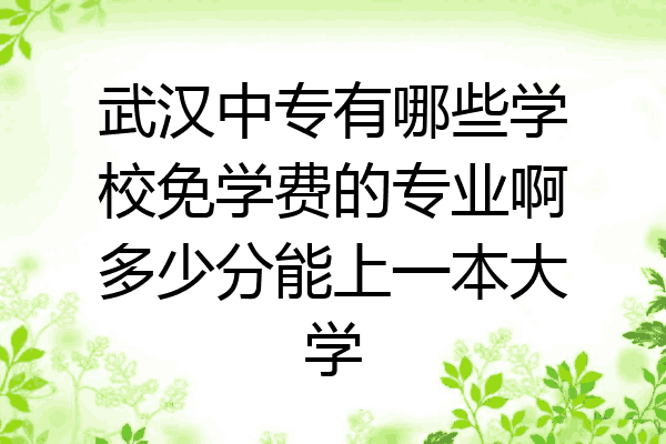 武汉中专有哪些学校免学费的专业啊多少分能上一本大学
