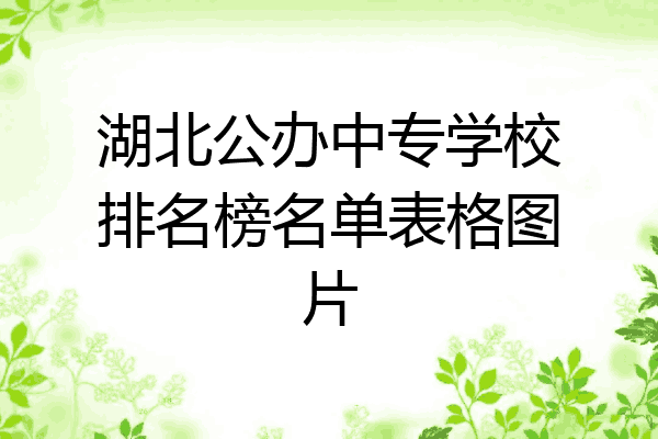 湖北公办中专学校排名榜名单表格图片
