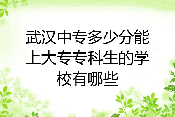 武汉中专多少分能上大专专科生的学校有哪些