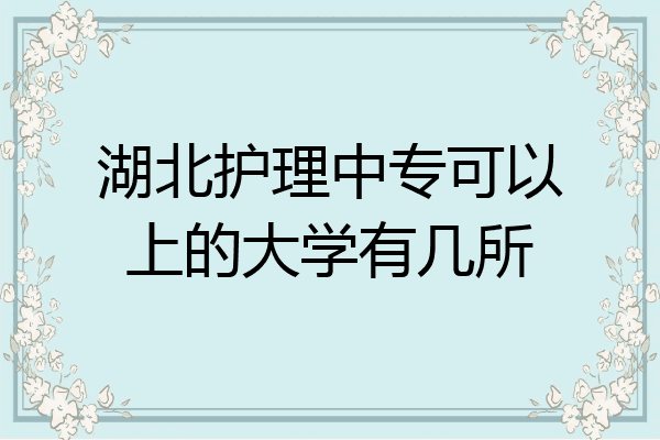 湖北护理中专可以上的大学有几所