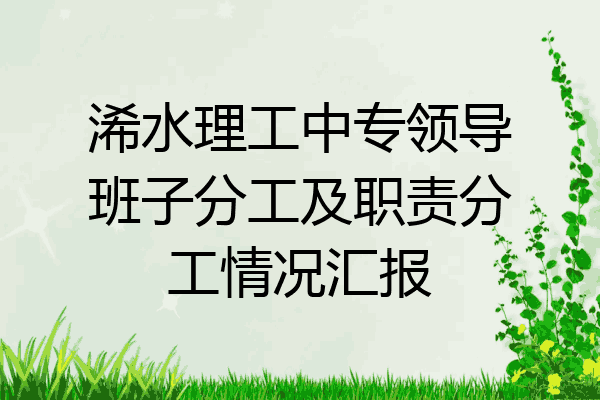 浠水理工中专领导班子分工及职责分工情况汇报