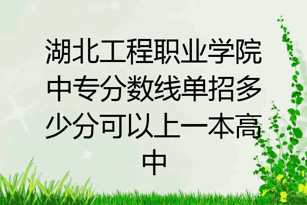 湖北工程职业学院中专分数线单招多少分可以上一本高中