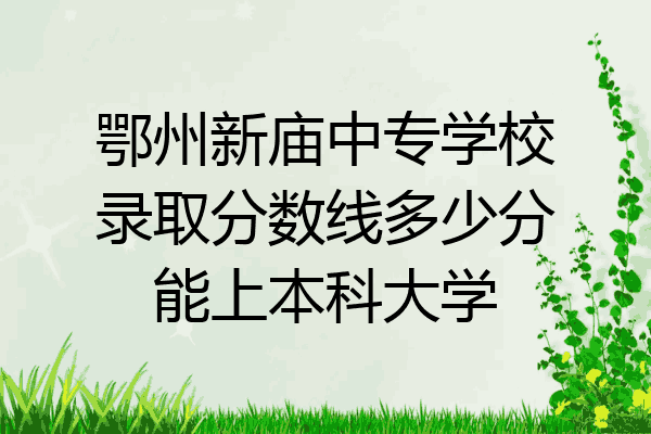 鄂州新庙中专学校录取分数线多少分能上本科大学