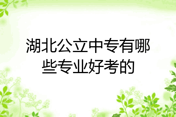 湖北公立中专有哪些专业好考的