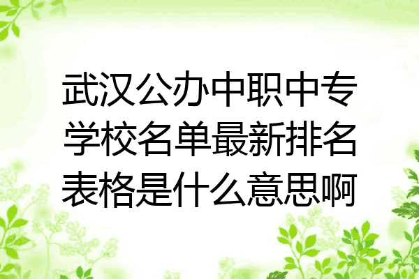 武汉公办中职中专学校名单最新排名表格是什么意思啊