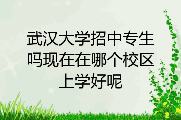 武汉大学招中专生吗现在在哪个校区上学好呢