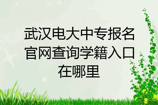 武汉电大中专报名官网查询学籍入口在哪里
