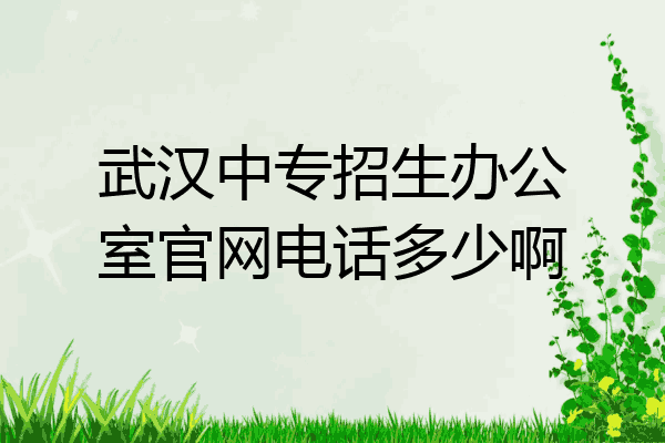 武汉中专招生办公室官网电话多少啊