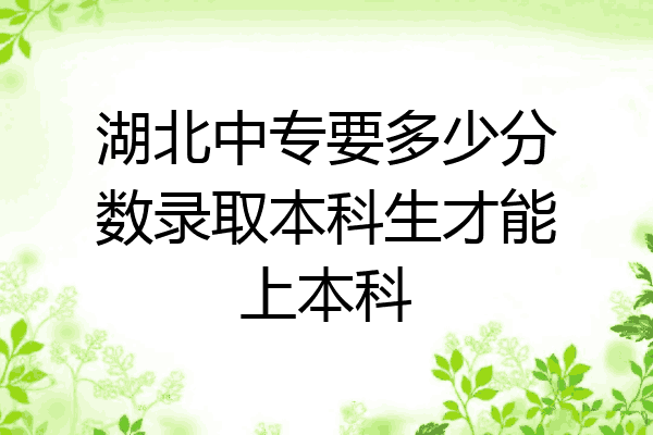 湖北中专要多少分数录取本科生才能上本科