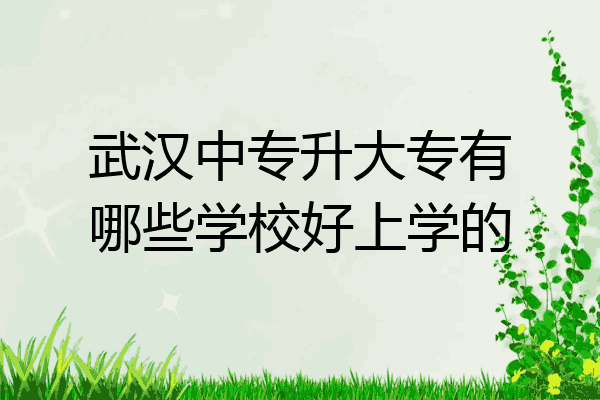 武汉中专升大专有哪些学校好上学的