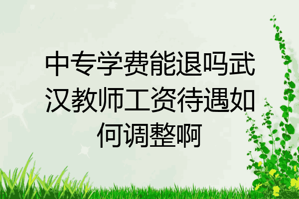 中专学费能退吗武汉教师工资待遇如何调整啊