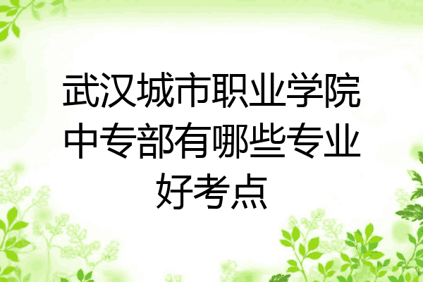 武汉城市职业学院中专部有哪些专业好考点