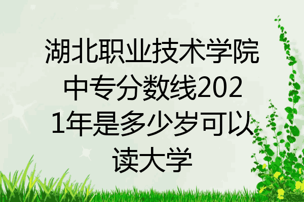 湖北职业技术学院中专分数线2021年是多少岁可以读大学