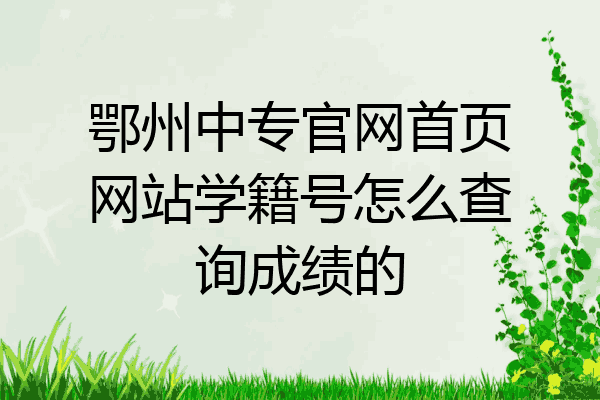 鄂州中专官网首页网站学籍号怎么查询成绩的