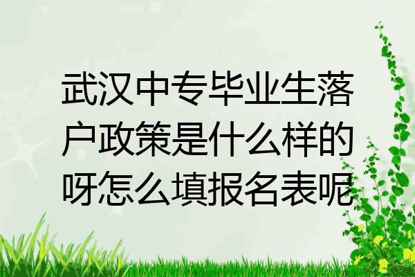 武汉中专毕业生落户政策是什么样的呀怎么填报名表呢