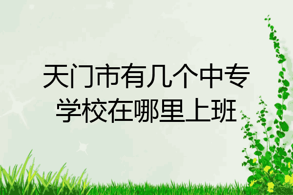 天门市有几个中专学校在哪里上班