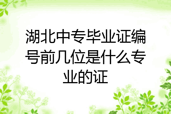 湖北中专毕业证编号前几位是什么专业的证