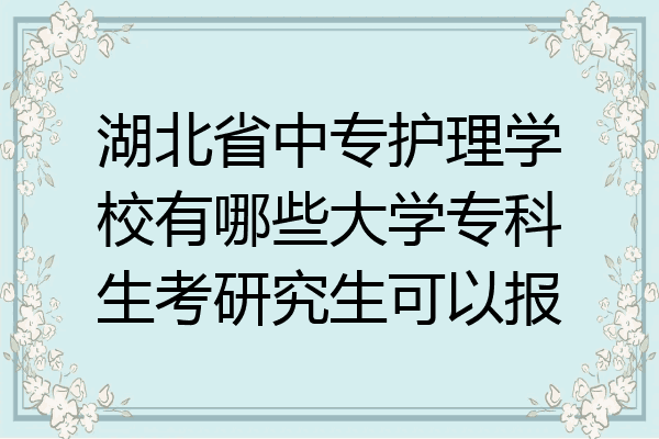 湖北省中专护理学校有哪些大学专科生考研究生可以报