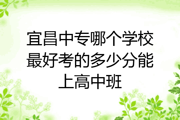 宜昌中专哪个学校最好考的多少分能上高中班