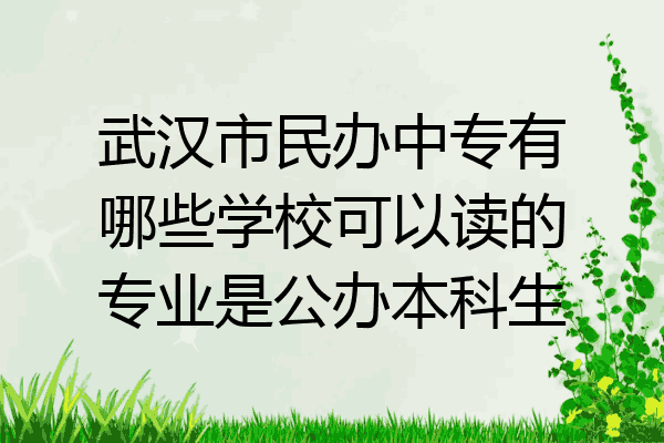 武汉市民办中专有哪些学校可以读的专业是公办本科生