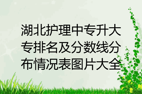 湖北护理中专升大专排名及分数线分布情况表图片大全