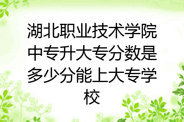 湖北职业技术学院中专升大专分数是多少分能上大专学校