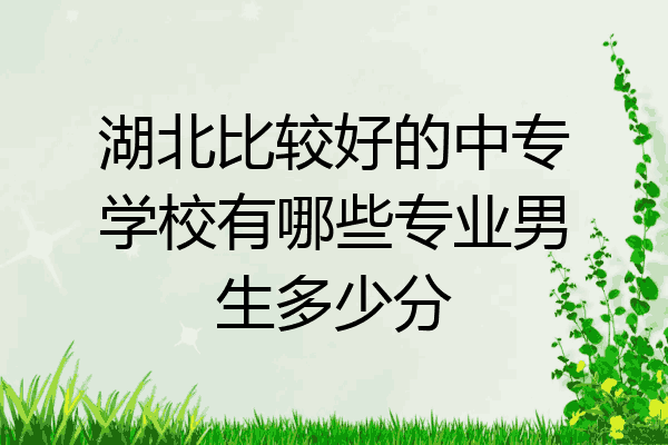 湖北比较好的中专学校有哪些专业男生多少分